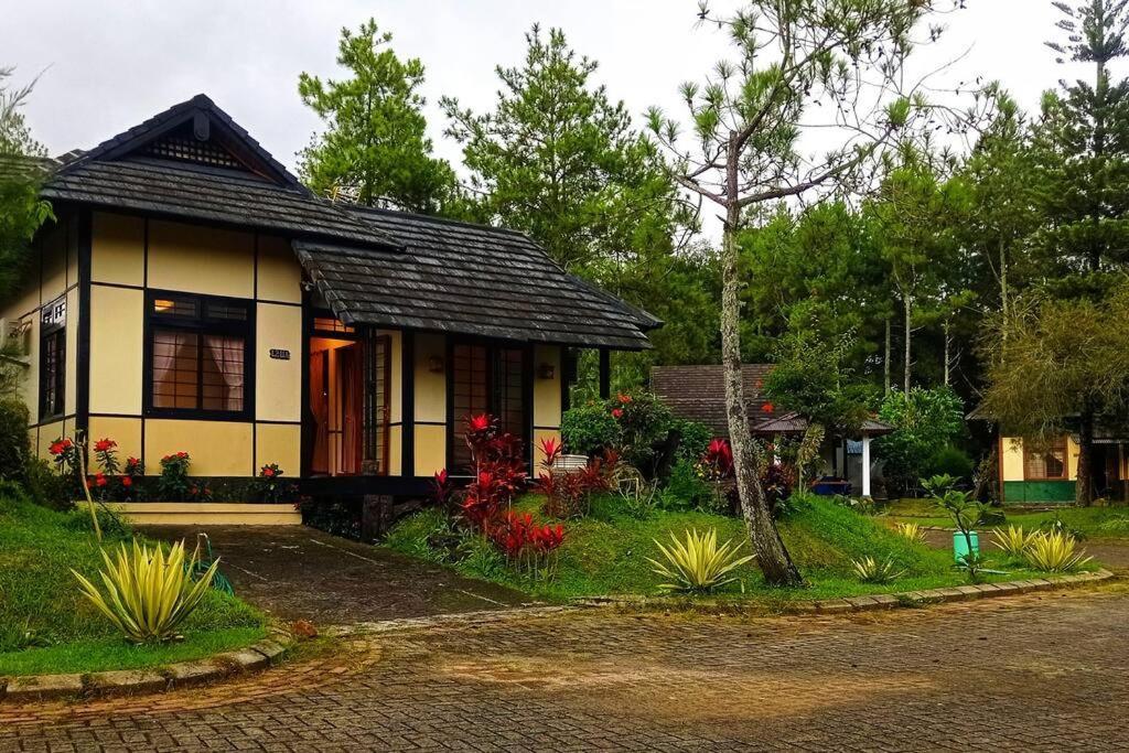 Designer Villa Tokyo Cianjur Εξωτερικό φωτογραφία